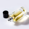 De lege van het de Pompglas van de Parfumnevel Fles 50ml Magnetisch GLB